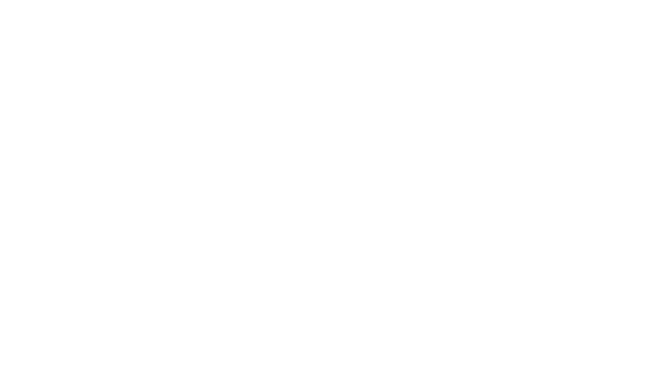 The Sister Lab